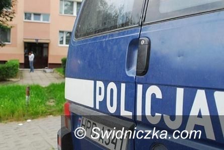 Wałbrzych: 4–letnia dziewczynka wypadła przez okno. Opiekun był pijany