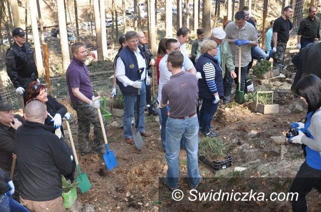 Lutomia: Posadzili drzewa