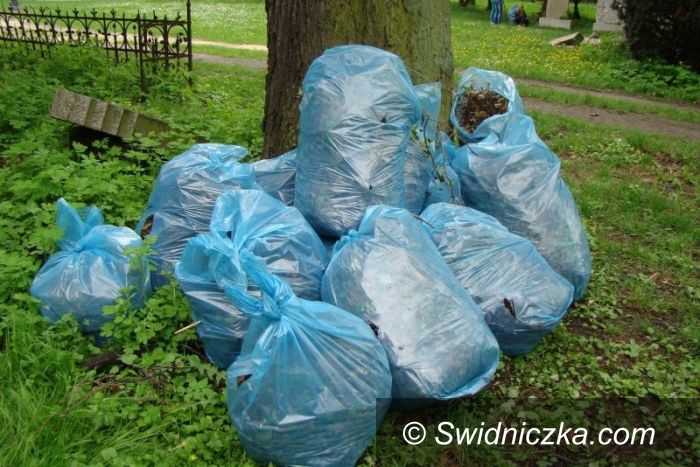 Świdnica: Sprzątali cmentarz przy Kościele Pokoju
