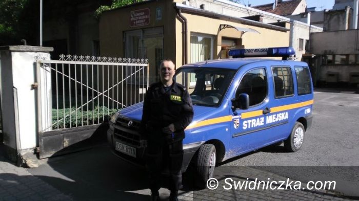 Świdnica: Podwórkowe imprezy