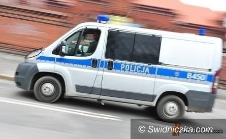 Dolny Śląsk: Akcja
