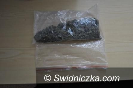 Świebodzice: Podróżowali z narkotykami