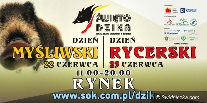 Świdnica: Święto Dzika z atrakcjami dla rodzin