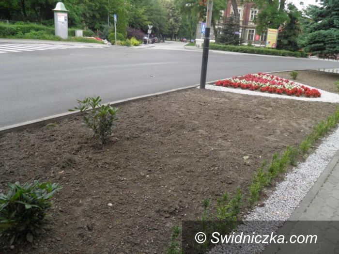 Żarów: Skradzione róże i rododendrony