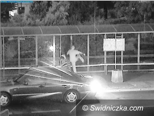 Świdnica: Wybił szybę w przystankowej wiacie