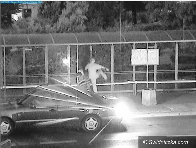 Świdnica: Wybił szybę w przystankowej wiacie
