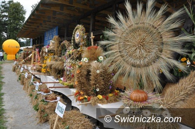 Lutomia: Dożynki gminne w Lutomi