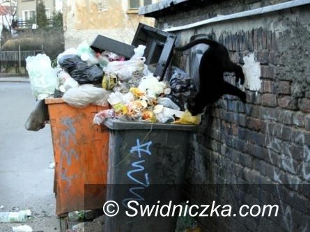 Świdnica: Sprawa wysypiska na Zarzeczu trafia do prokuratury