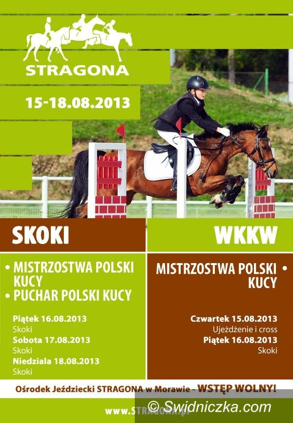 Morawa: Wielkie zawody kucykowe w Stragonie