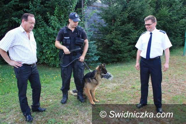 Świebodzice: Funkcjonariusz Larry melduje się