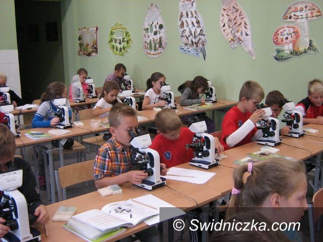 Świdnica: „Szóstka” wyruszyła  w teren