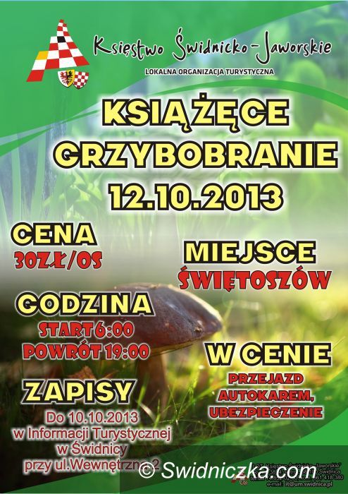 Świdnica: Książęce grzybobranie