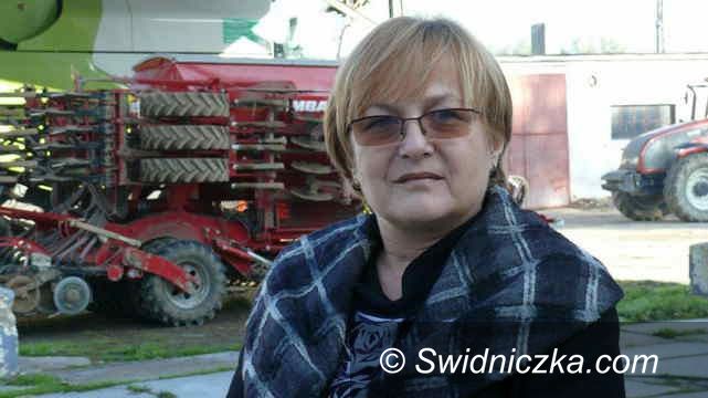Gmina Strzegom: RSP w gminie Strzegom