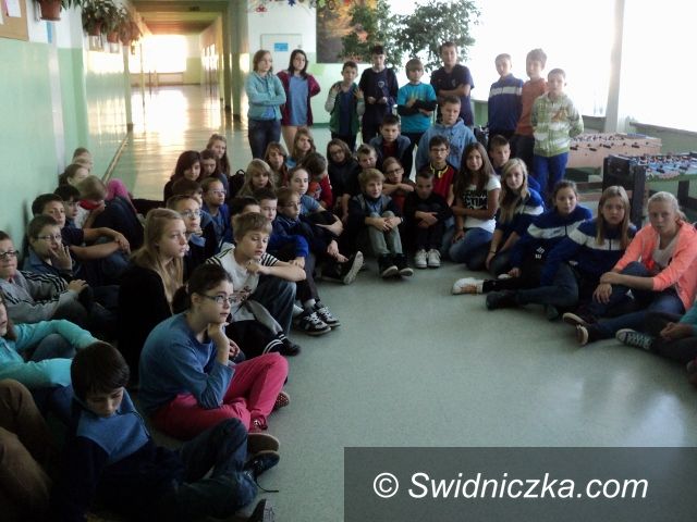 Świdnica: Wolontariusze w działaniu