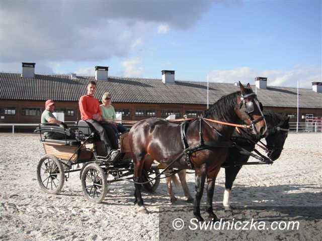 Morawa: Bryczki w Morawie
