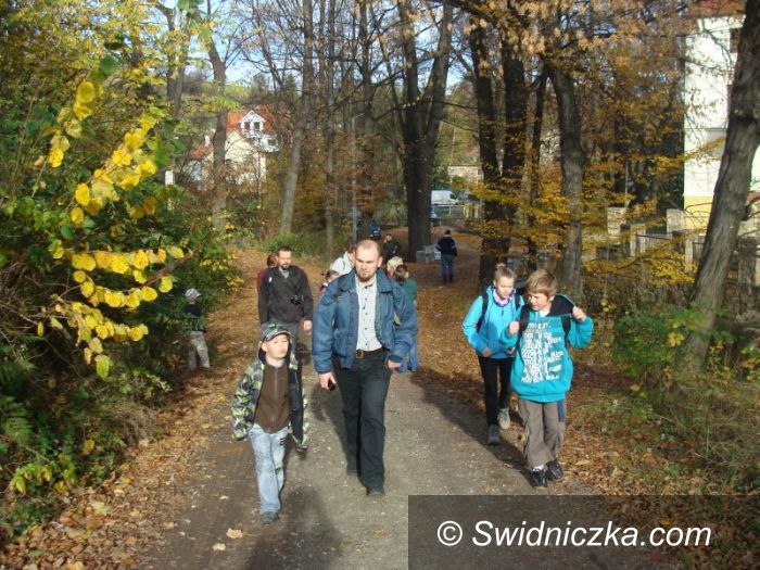 Region: Gdzie te ruiny?