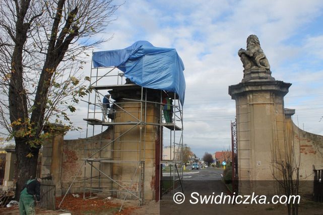 Świebodzice: Lwy znowu zachwycą