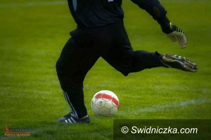 IV-liga piłkarska: IV–liga: ostatnie rozdanie w 2013 roku