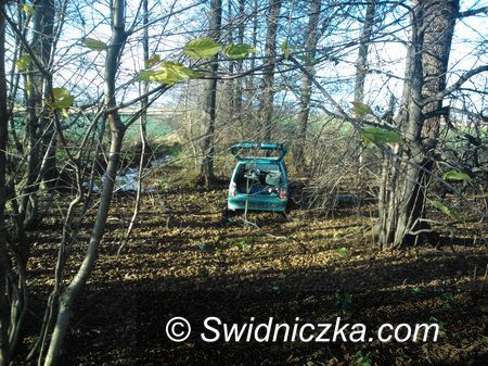 Świebodzice: Kradli samochody i podpalali altanki