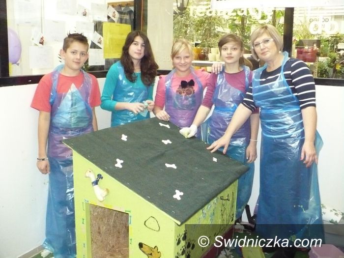 Świdnica: Zdolni konstruktorzy z Witoszowa