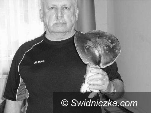 Świdnica: Zmarł Lech Stankiewicz, prezes MKS–u Świdnica