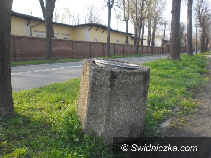Świdnica: Kosztowne wygłupy