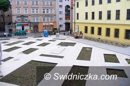 Świdnica: Gromada dzików od piątku na skwerze przy ul. Franciszkańskiej
