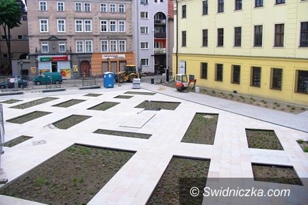 Świdnica: Gromada dzików od piątku na skwerze przy ul. Franciszkańskiej