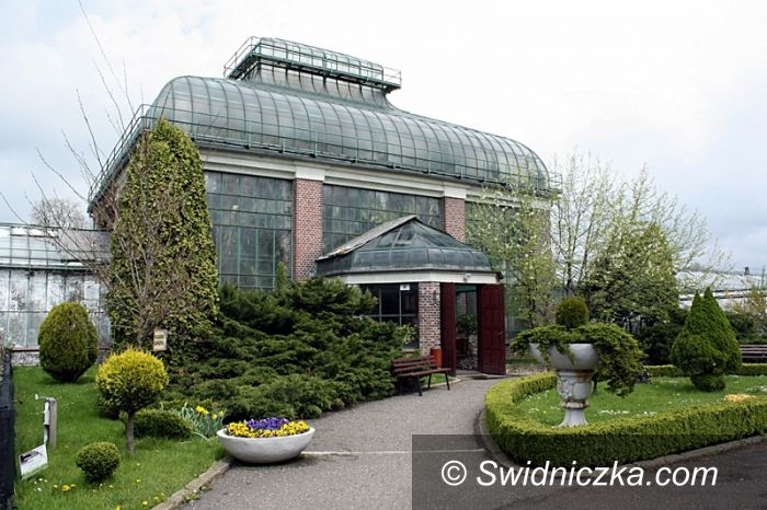 Wałbrzych: Modernizacja wałbrzyskiej Palmiarni
