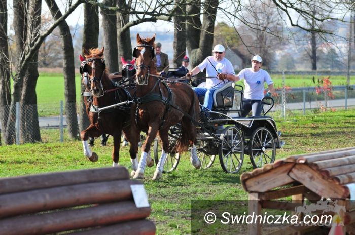 Morawa: Bryczki w Morawie