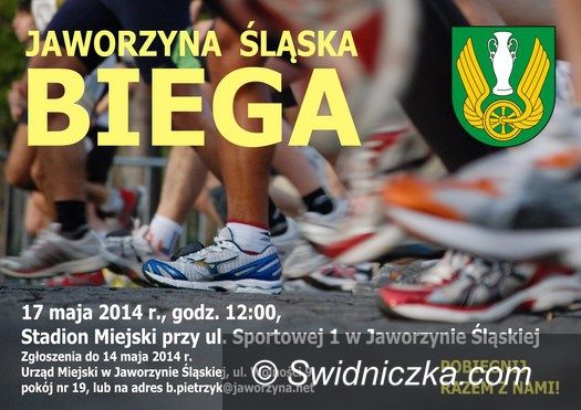 Jaworzyna Śląska: Jaworzyna biega