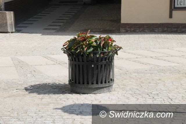 Świebodzice: Więcej zieleni