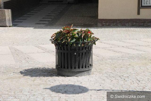 Świebodzice: Więcej zieleni