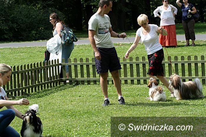 Książ: "The Miss Daisy Dog Show" w Książu