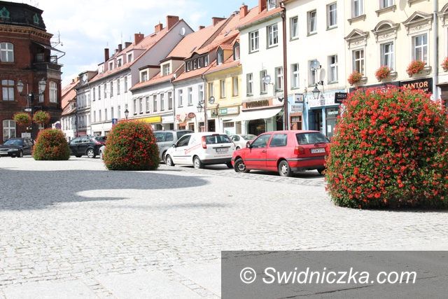 Świebodzice: Głosuj na Świebodzice