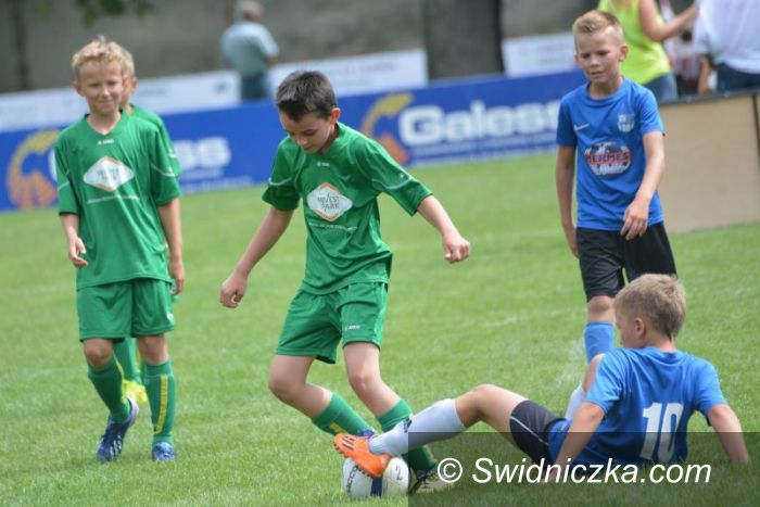 Świdnica: Silesian Cup wystartował