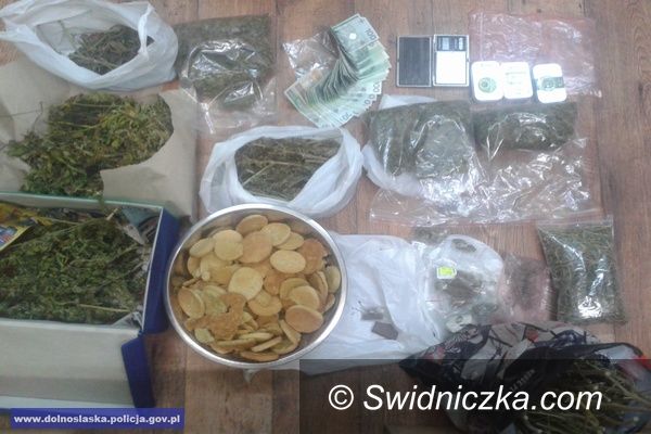Dzierżoniów: 7000 porcji marihuany i ciastka