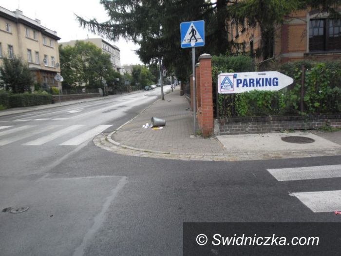 Świdnica: Śmieciowy wandal i malarz zatrzymani