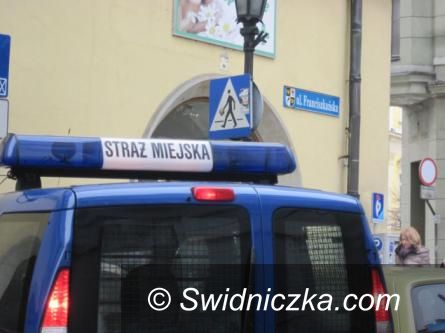 Świdnica: Włamanie do ogródków działkowych