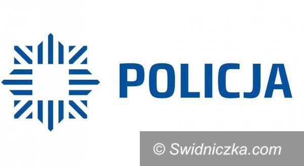 Dolny Śląsk: Policyjna akcja „Pasy” – blisko połowa kierowców i pasażerów nie stosowała się do przepisów