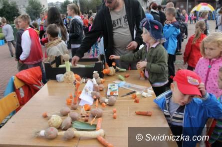 Świebodzice: Ziemniaczane szaleństwo w Świebodzicach