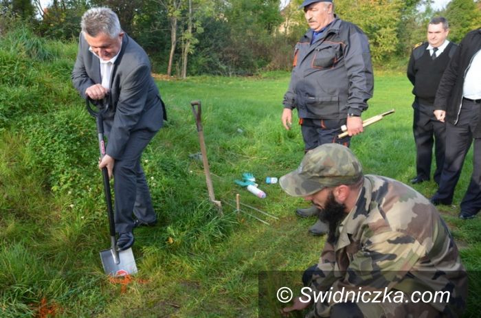 Stanowice: Wielka akcja sadzenia drzewek w Stanowicach