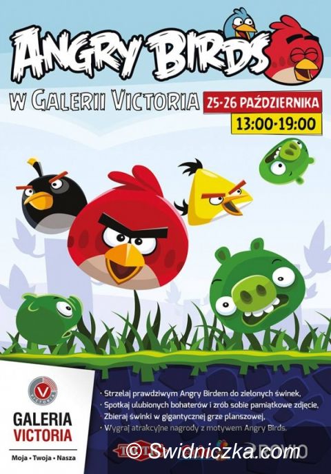 Wałbrzych: Angry Birds w Galerii Victoria