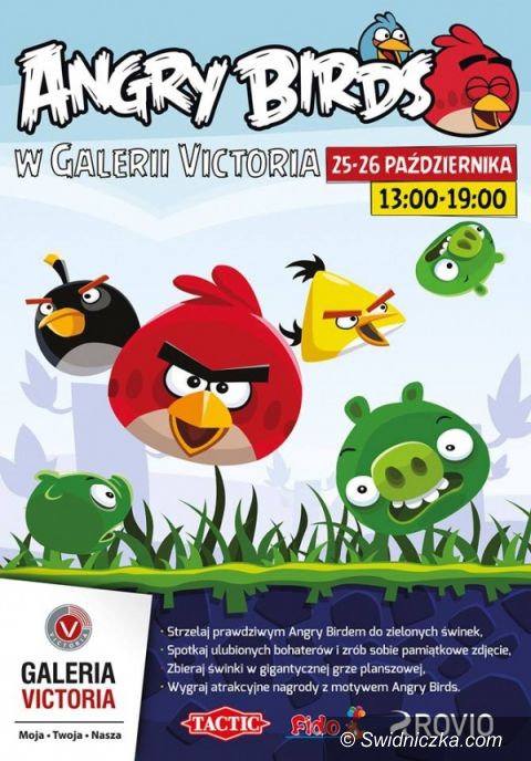 Wałbrzych: Angry Birds w Galerii Victoria