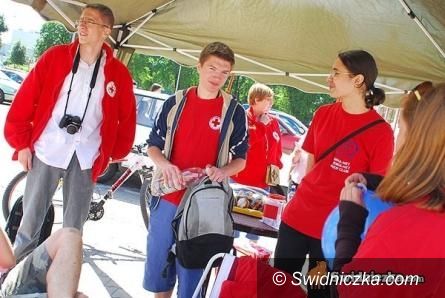 Świdnica: Kwesty Polskiego Czerwonego Krzyża w Świdnicy