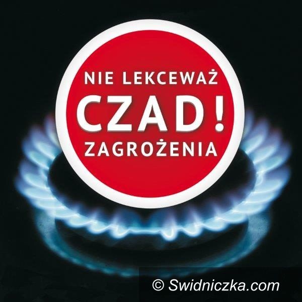 Region: NIE dla czadu