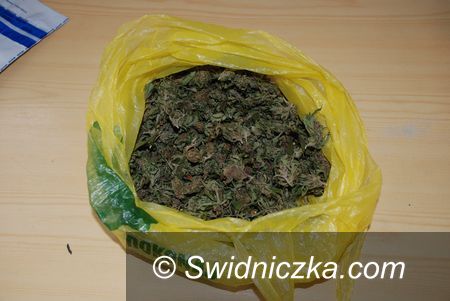 Świdnica: Posiadał w mieszkaniu 320 porcji marihuany