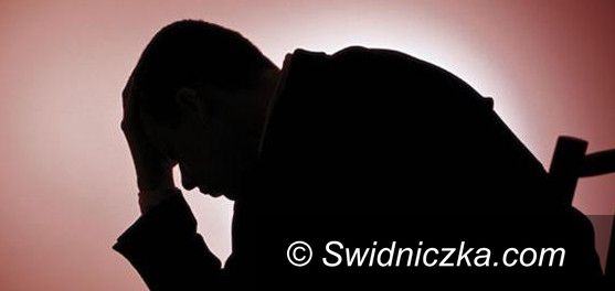 Świdnica: III Powiatowa Konferencja „Wyjść z cienia”