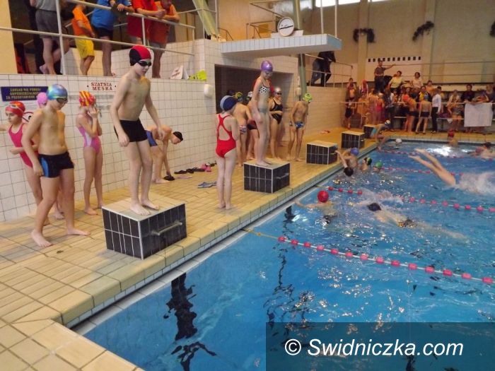 Świdnica: Mikołajkowe Zawody Pływackie