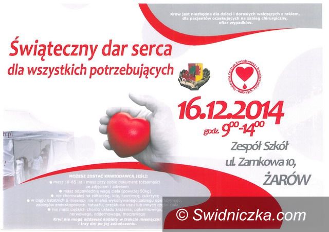 Żarów: Świąteczny dar serca